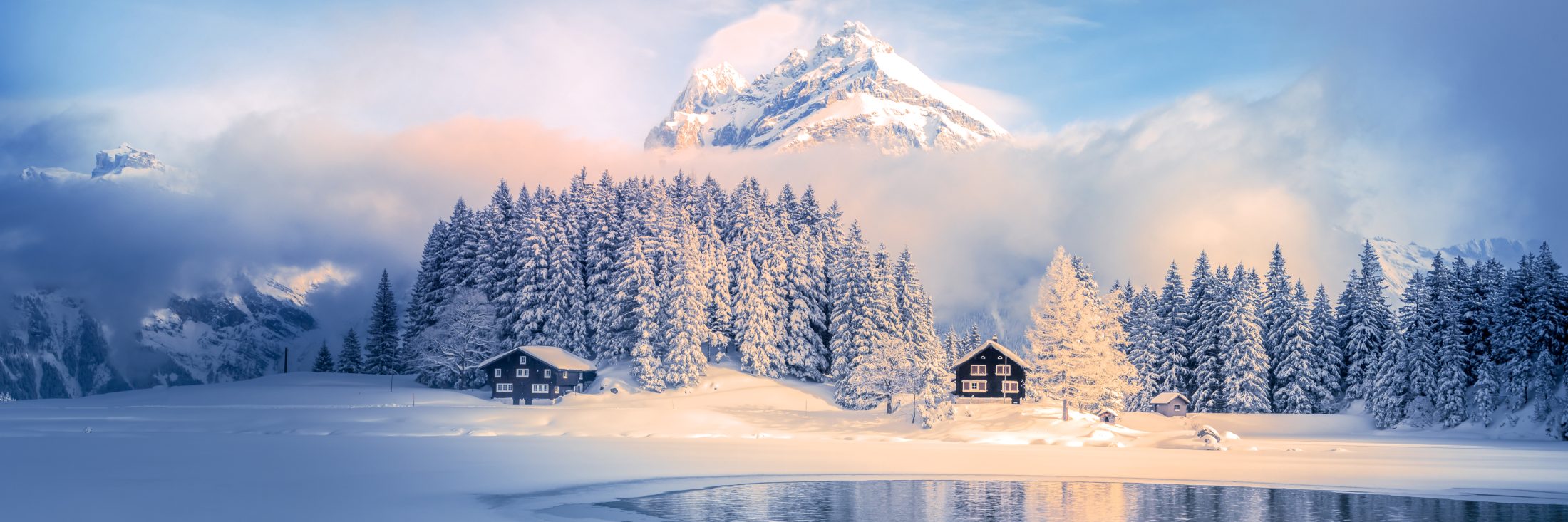 Aviva, Geschäftsführung (m|w|d) 100% – Zürich